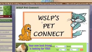 Pets Connect Promotion
