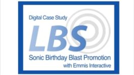 Sonic Birthday Blast Promotion