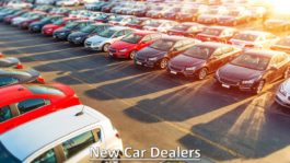 New Car Dealers