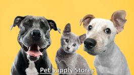 Pet Supply Stores