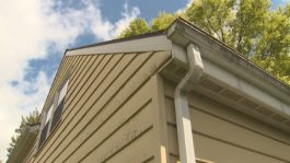 Home maintenance items experts say should be at the top of your list this summer | Home Smart