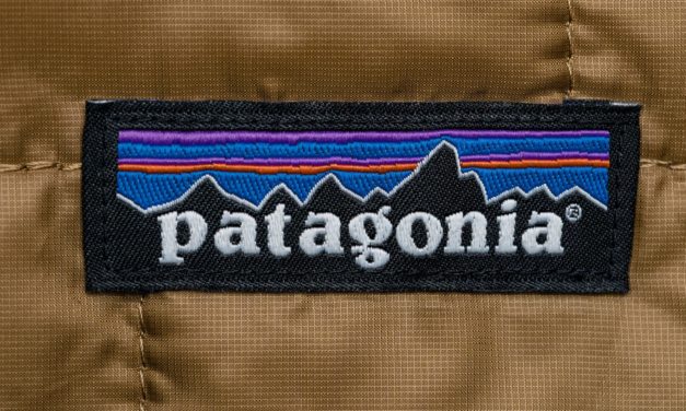 Patagonia Leads Circular Fashion Study, But Brands Not Making Progress