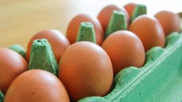 Inflation: Grocery prices see small decline last month as egg prices drop and processed foods see sticky inflation