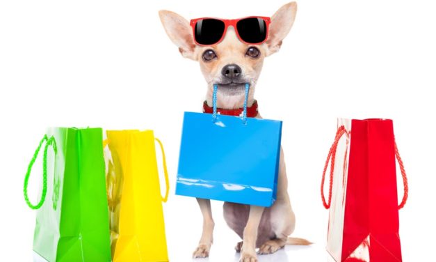 US consumers plan to spend more on pets despite inflation