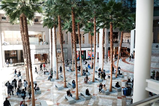 US shopping malls are not dying, they’re adapting