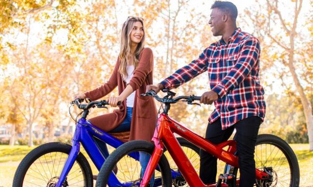 Selling eBliss E-Bikes at Car Dealerships Is the Inter-Modal No-Brainer