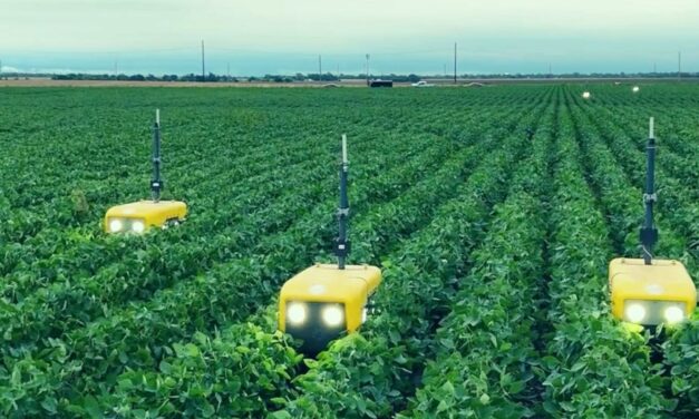 Chipotle invests in regenerative farming robots