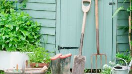 3_Gardening-Tools-Against-Door-Of-Shed.jpeg