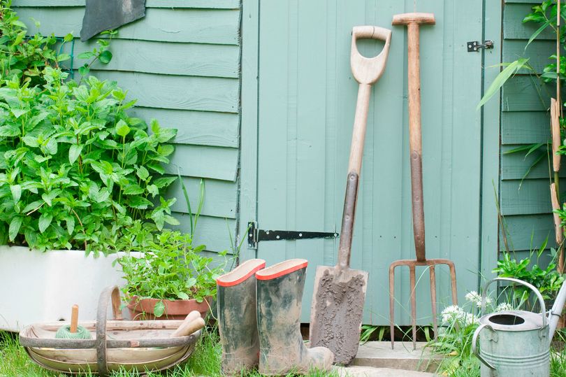 The two home improvement jobs to complete in February, according to DIY expert