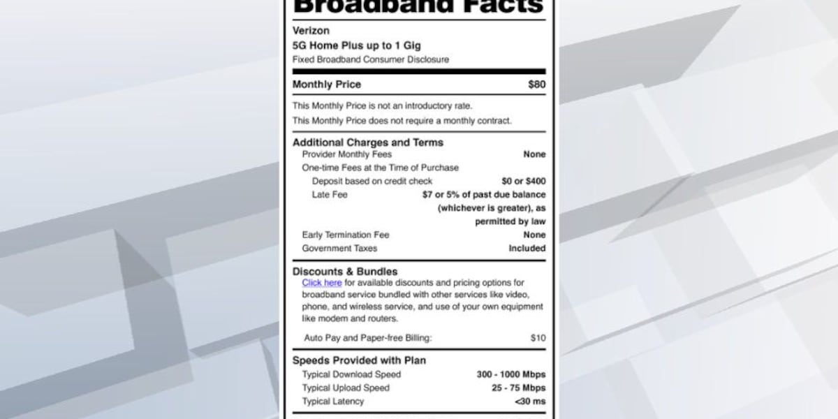 Verizon gives a first look at new broadband label required by FCC