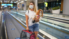 young-woman-protective-mask-airport-79330557.jpeg