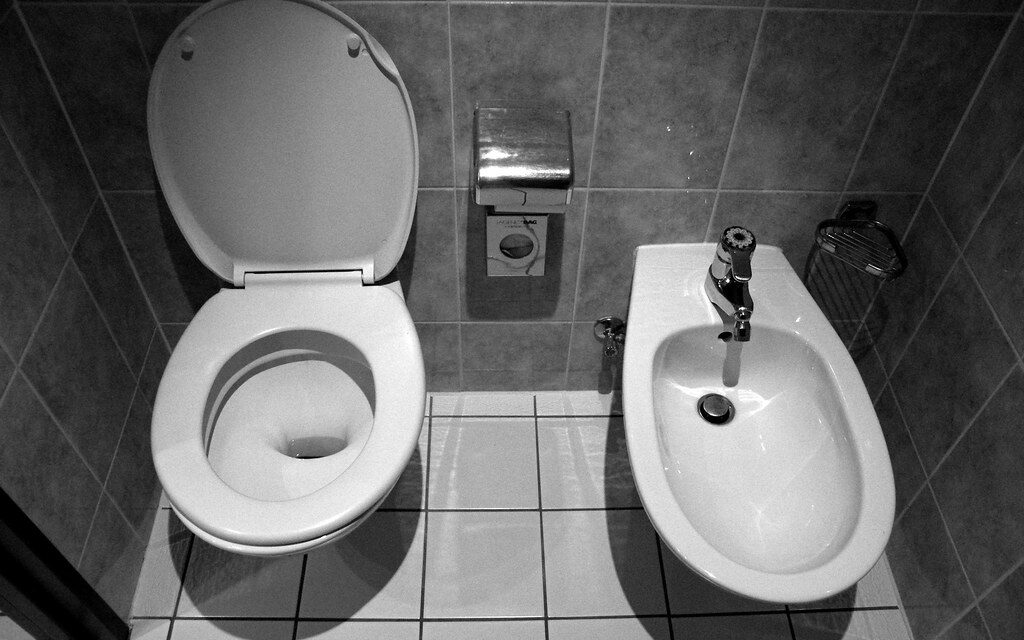 The Bidet Revolution: Transforming American Bathrooms and Hygiene Habits