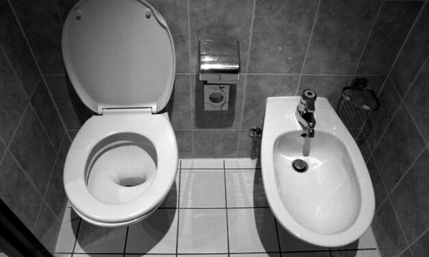 The Bidet Revolution: Transforming American Bathrooms and Hygiene Habits