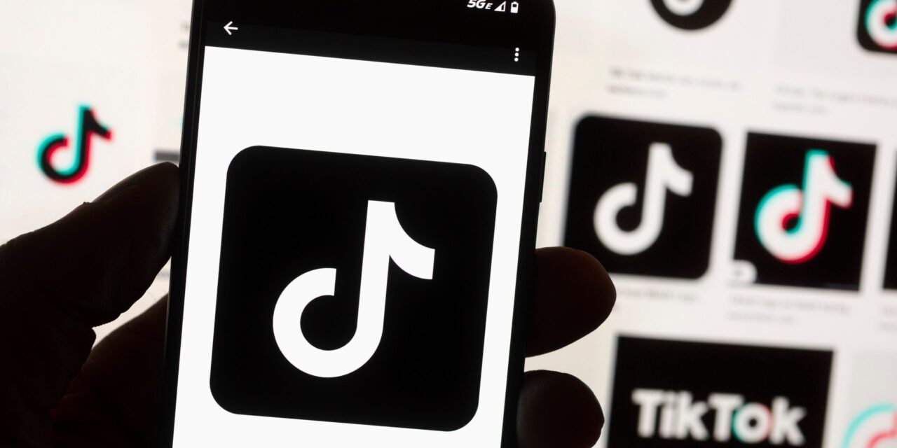 TikTok has promised to sue over the potential US ban. What’s the legal outlook?