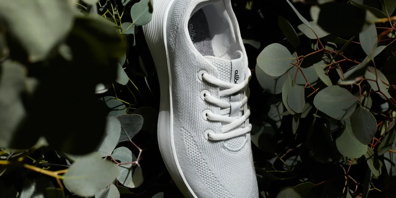 Allbirds unveils Tree Runner Go sneaker as it refocuses on core products