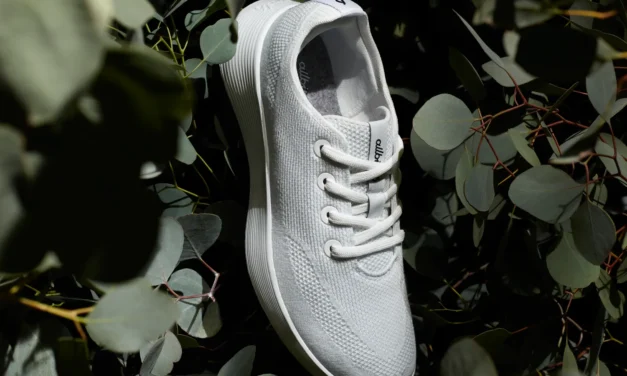 Allbirds unveils Tree Runner Go sneaker as it refocuses on core products
