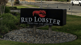 red-lobster-considers-bankruptcy-as-over-80-locations-close-including-two-in-illinois-amid-financial-turmoil-2.png
