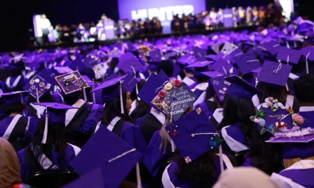 College education may not be preparing employees for generative AI