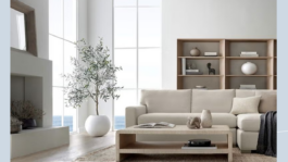 online-furniture-store-66bcebe50781e.png