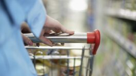 The_hands_of_a_woman_pushing_a_shopping_cart.jpeg