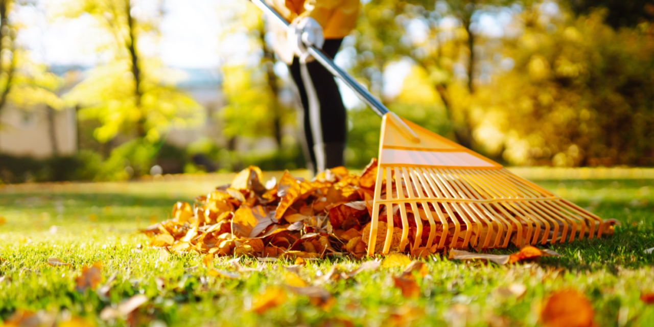 11 things to do this fall to keep your home in tip-top shape