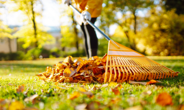 11 things to do this fall to keep your home in tip-top shape