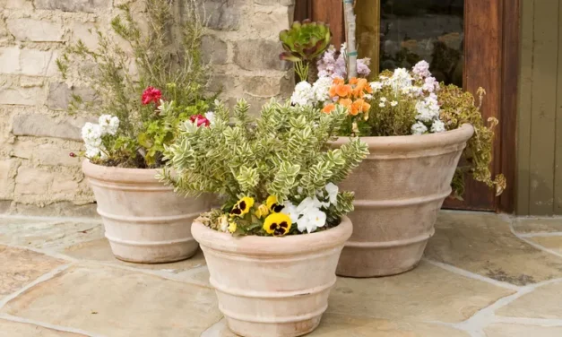 Boost Your Home’s Curb Appeal With 7 Projects You Can Finish in a Weekend