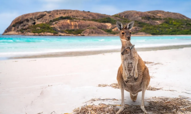 Forbes Travel Guide’s Air Travel Awards, Hotels With Art Collections And More Travel News