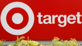 A_target_sign_with_the_white_bullseye.jpeg