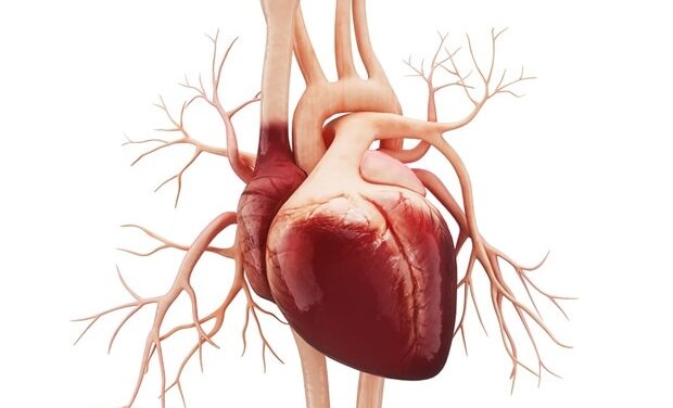 Primary care clinicians key to achieving optimal cardiovascular health