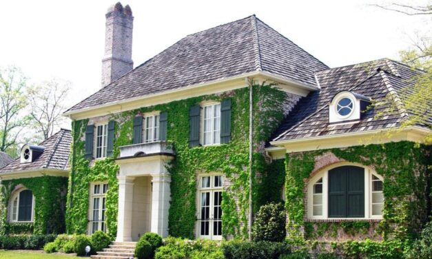 Landscaping Tips For Making Your Home More Energy-Efficient