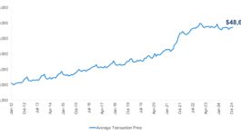 Oct-2024-ATP-chart-1.jpeg