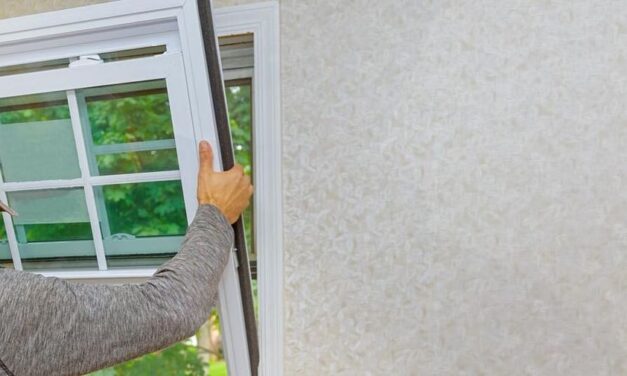7 Energy Conserving Upgrades That Can Increase Home Value