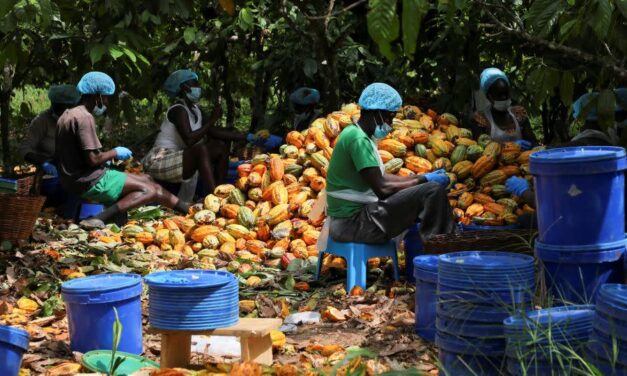 Food prices are on the rise again. What’s behind the increase