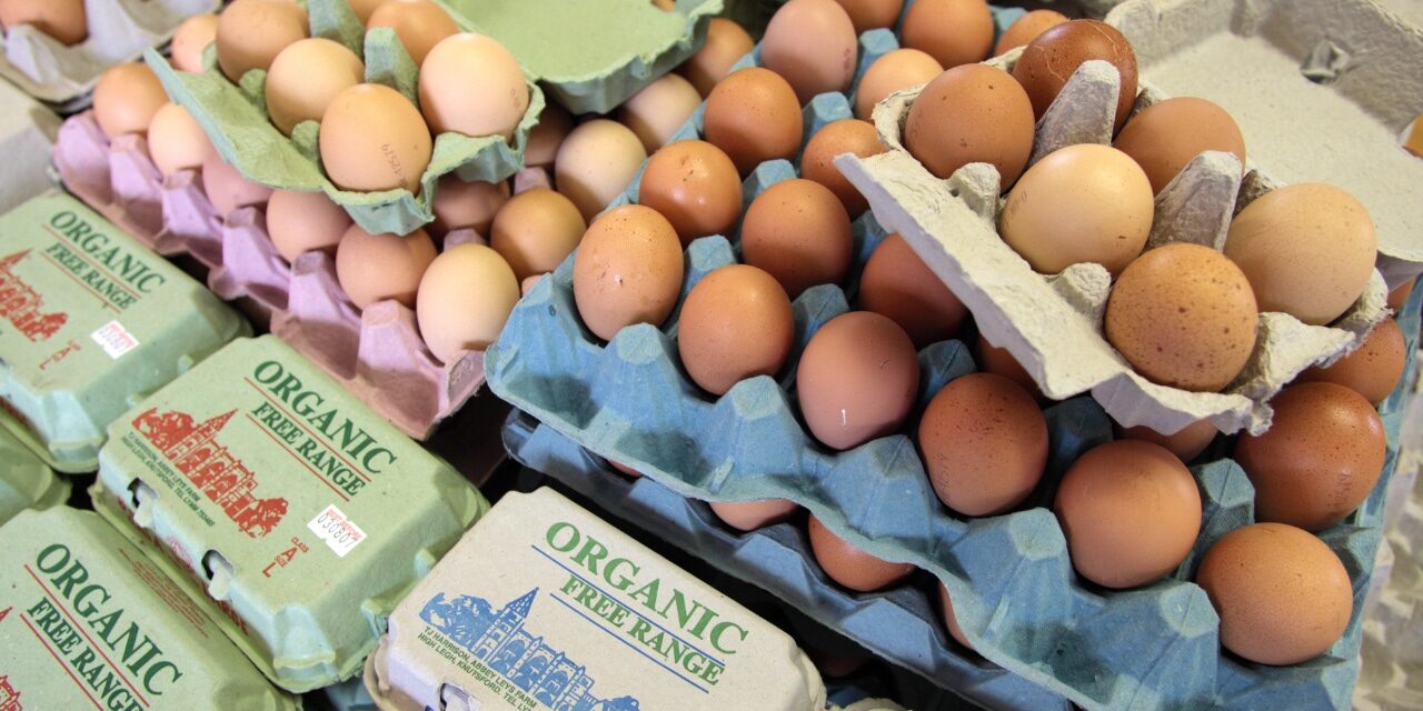 Costco pulls over 10K units of eggs after recall