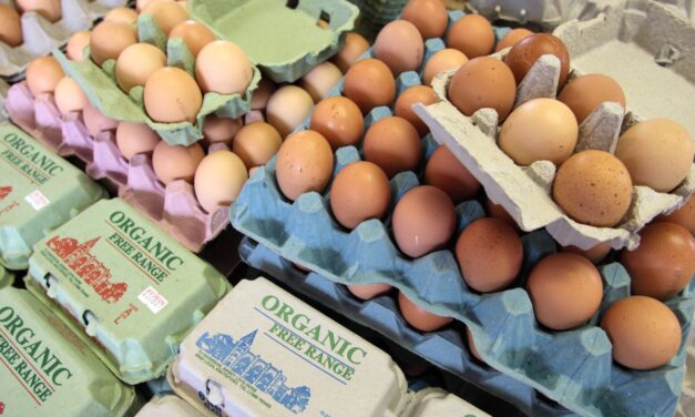 Costco pulls over 10K units of eggs after recall