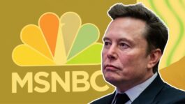 elon_musk_ponders_buying_msnbc.jpeg