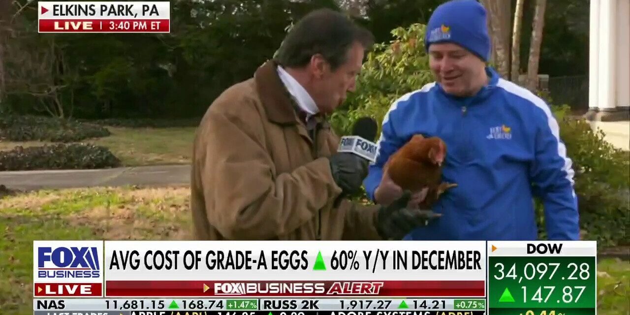 Egg prices are higher and will continue into 2025