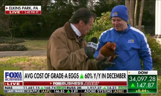 Egg prices are higher and will continue into 2025