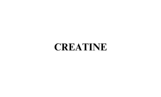 With 10,000 Retail Stores Carrying Its Products, Creatine Is the New Jewelry Company to Watch Out for in 2025