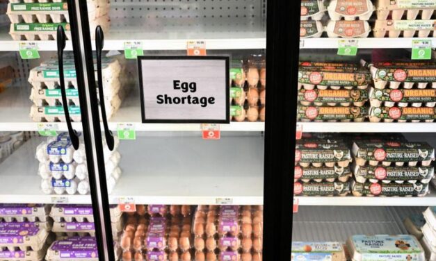Where are the eggs? And why are they expensive? Here’s what to know about prices and supply