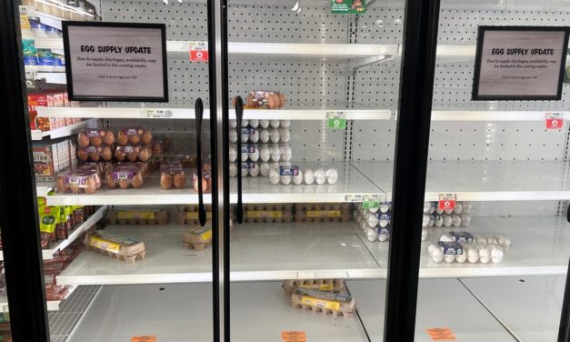 Egg supply ‘strained’ by bird flu as shortage frustrates Americans at grocery stores