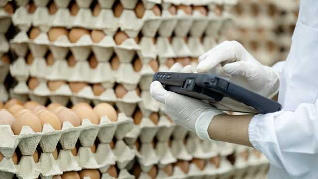 Egg shortage hits American markets as avian flu spreads