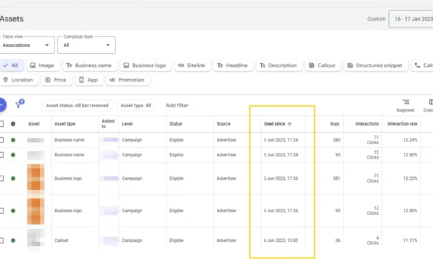 New Google Ads feature spotted: Asset history