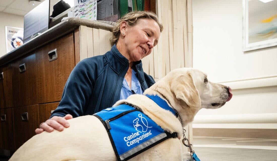 Trained dogs working inside hospitals help ease burnout among health care staff