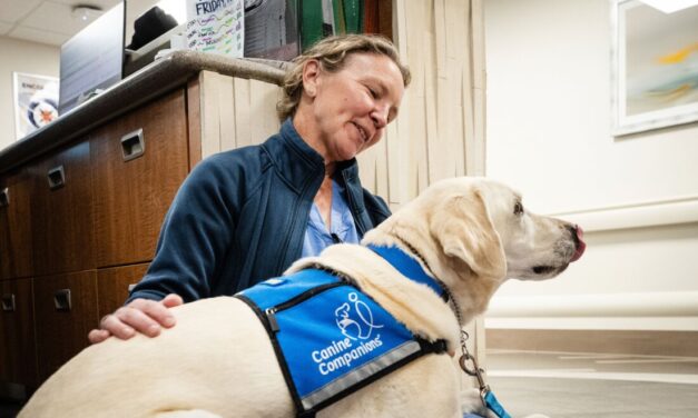 Trained dogs working inside hospitals help ease burnout among health care staff