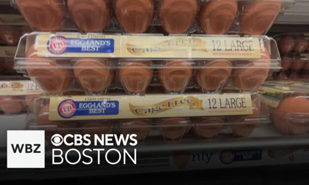 Inflation rate picked up in January, CPI report shows. Here’s what it means for your money.