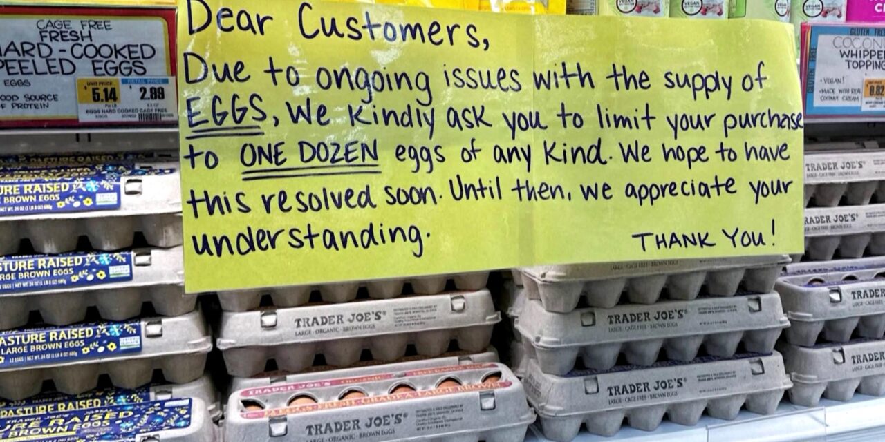 Restaurants, consumers feel the squeeze as egg prices hit $10 dozen