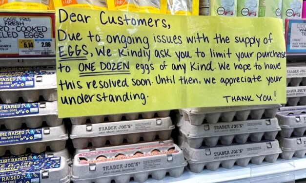 Restaurants, consumers feel the squeeze as egg prices hit $10 dozen