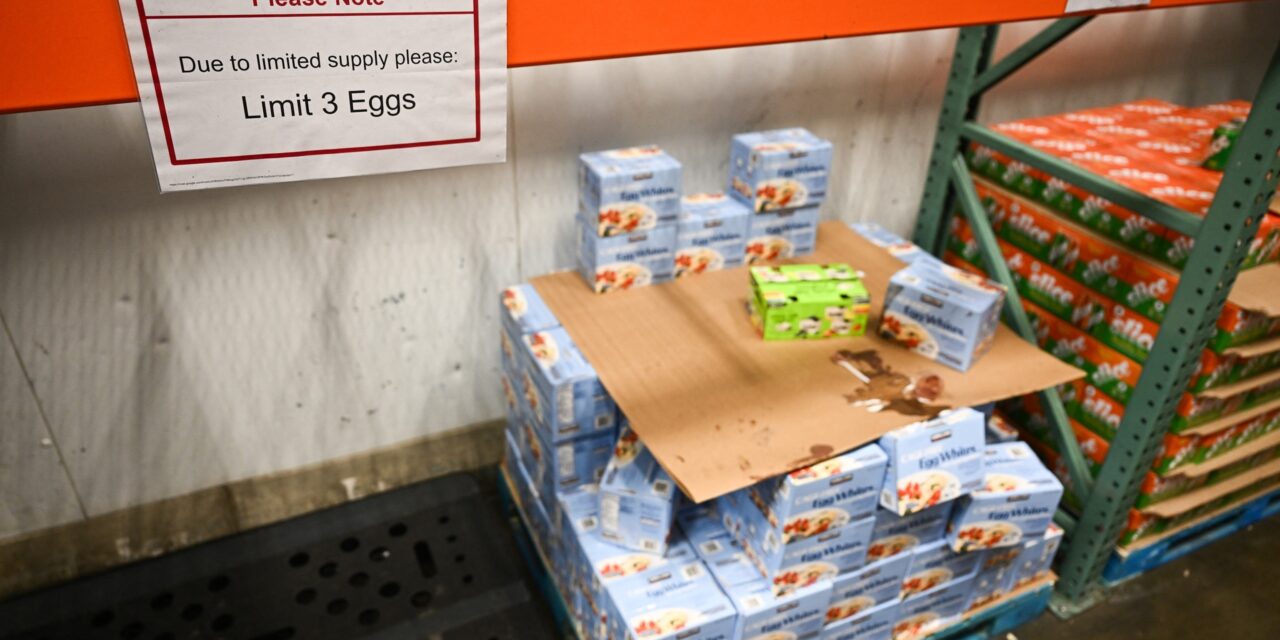 Grocery stores limit egg purchases, thefts increase as bird flu spreads across US